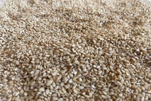 Sesame Seeds from Nigeria